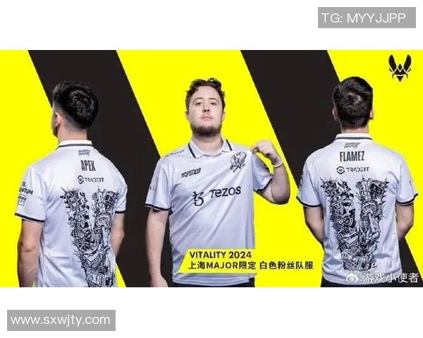 CS冬季大型锦标赛：TeamVitality队员Spinx分析团队配合