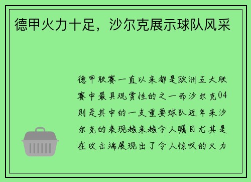 德甲火力十足，沙尔克展示球队风采